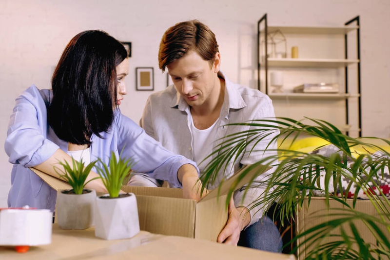 How to transport plants when moving long distance
